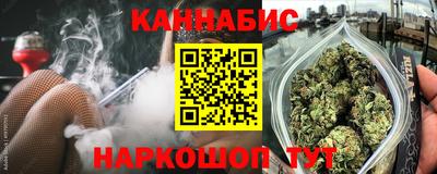 спиды Гай