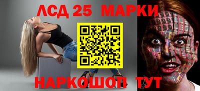 спиды Гай