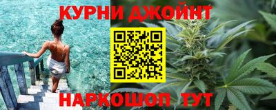 спиды Гай