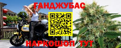 эйфоретик Гатчина