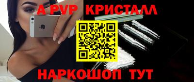 спиды Гай