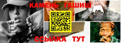 спиды Гай