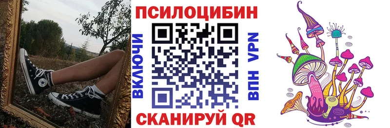 omg вход  Калининград  Галлюциногенные грибы Psilocybine cubensis 