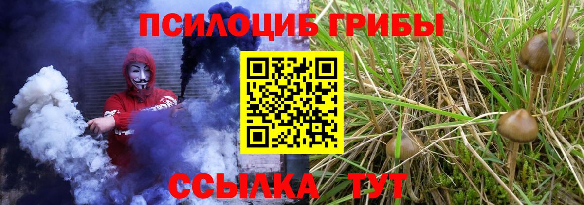 Псилоцибиновые грибы прущие грибы  Калининград 