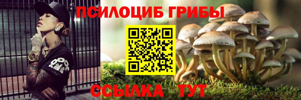 Калининград  Галлюциногенные грибы Magic Shrooms  Галлюциногенные грибы мухоморы  купить наркотик  Вход с VPN 