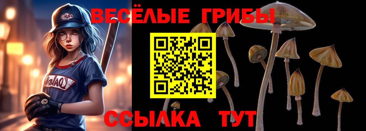 Псилоцибиновые грибы ЛСД Калининград